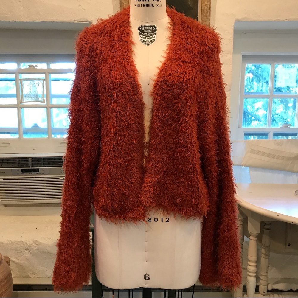 FREE PEOPLE Furry Rust Orange Sweater
